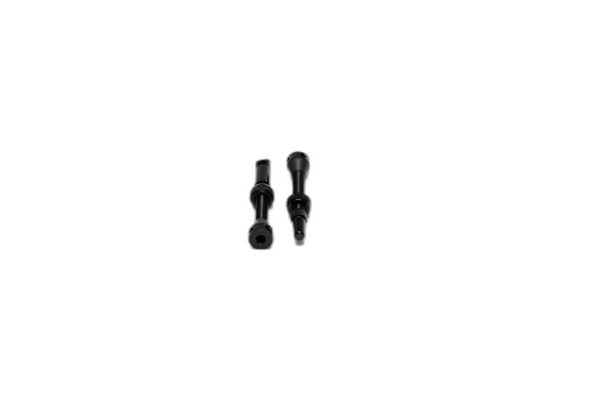 Válvulas tubeless